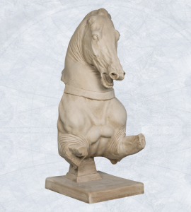 Torso-de-caballo-26.07